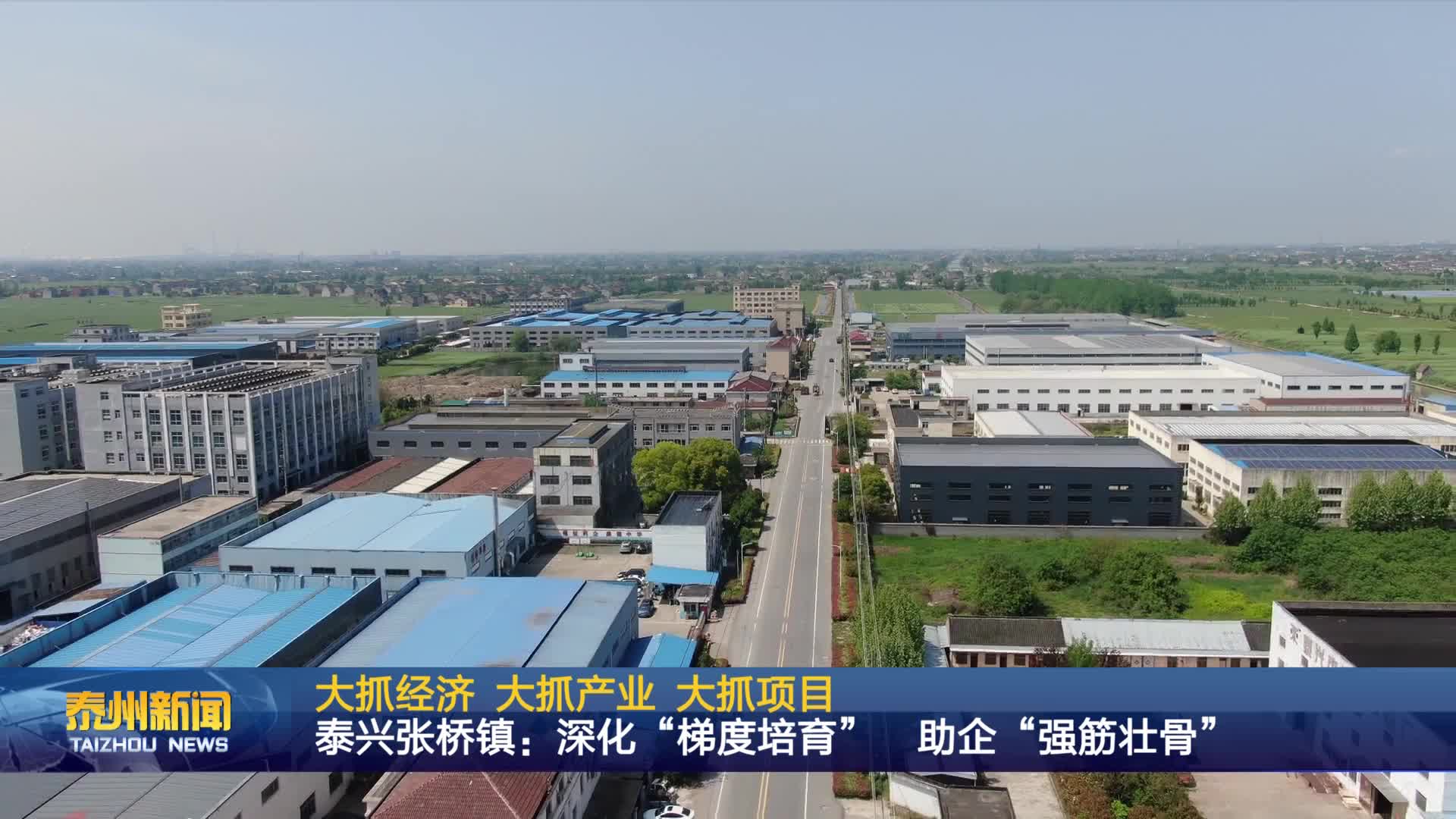 大抓经济 大抓产业 大抓项目  泰兴张桥镇：深化“梯度培育” 助企“强筋壮骨”