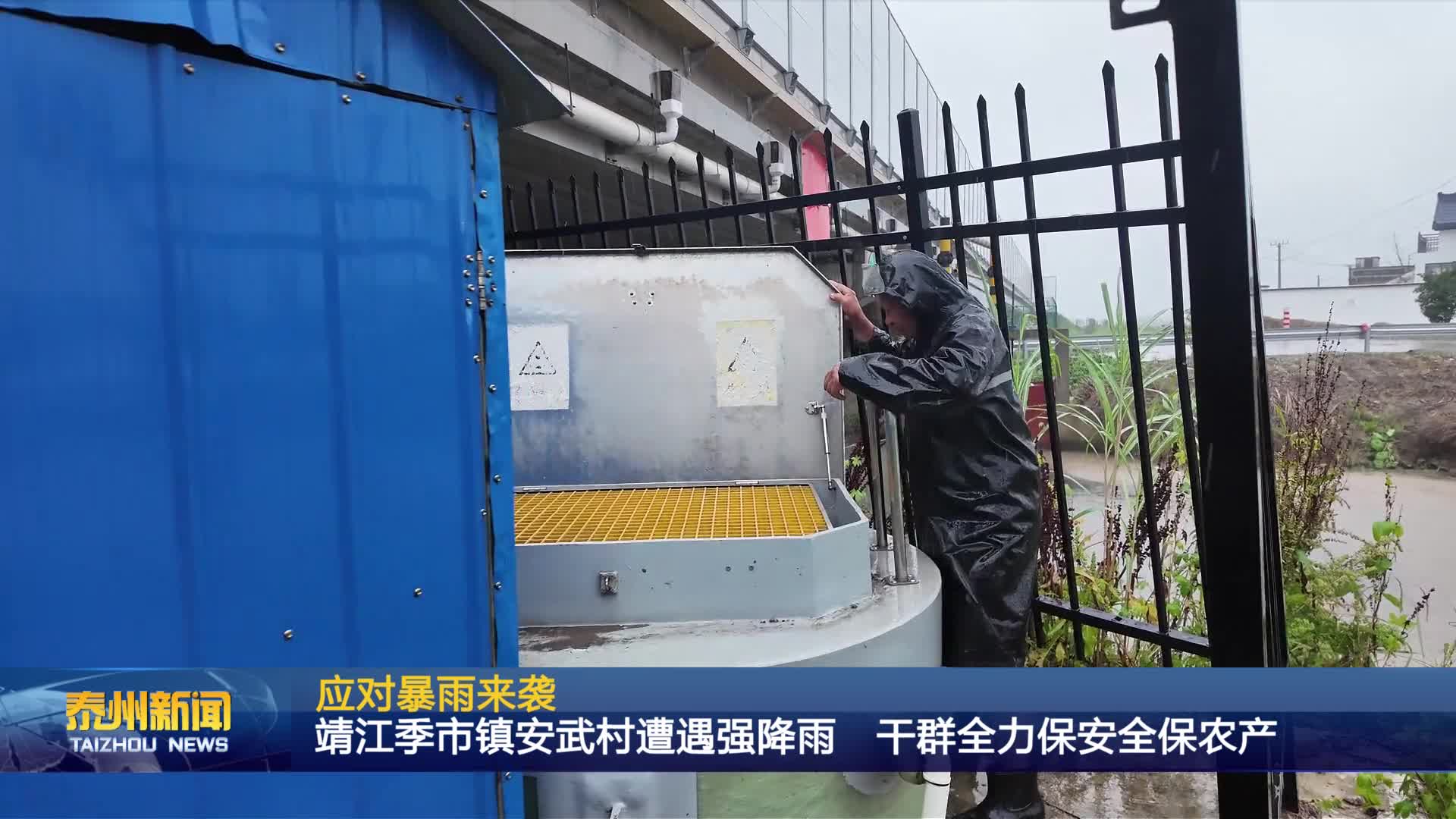 应对暴雨来袭  靖江季市镇安武村遭遇强降雨 干群全力保安全保农产